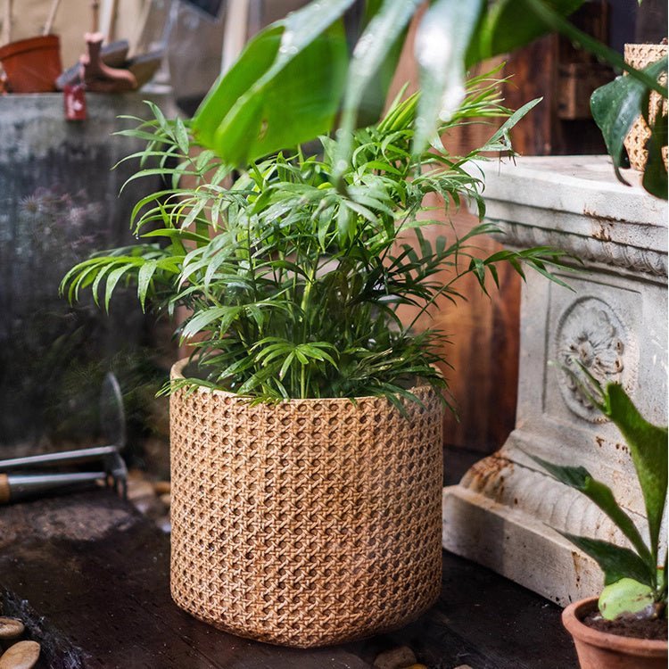Rattan Texture Cement Planter - Cheeky Garden