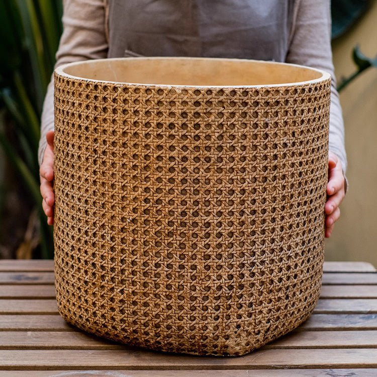 Rattan Texture Cement Planter - Cheeky Garden