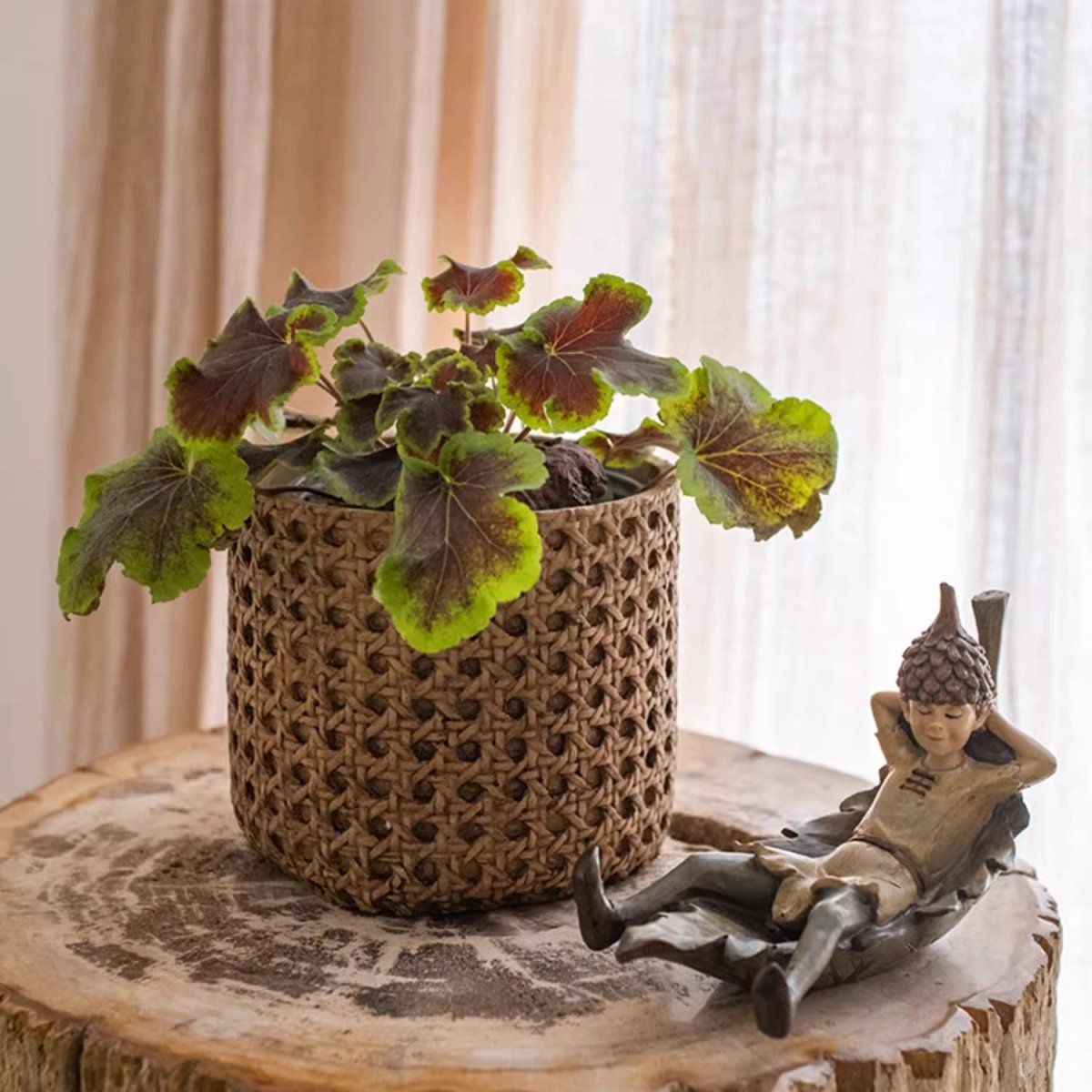 Rattan Texture Cement Planter - Cheeky Garden