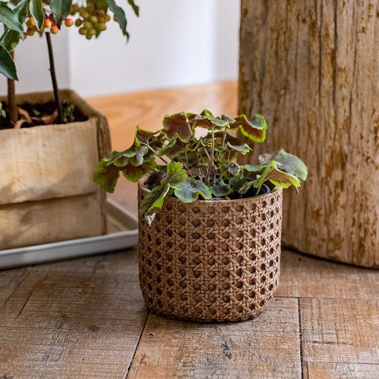 Rattan Texture Cement Planter - Cheeky Garden