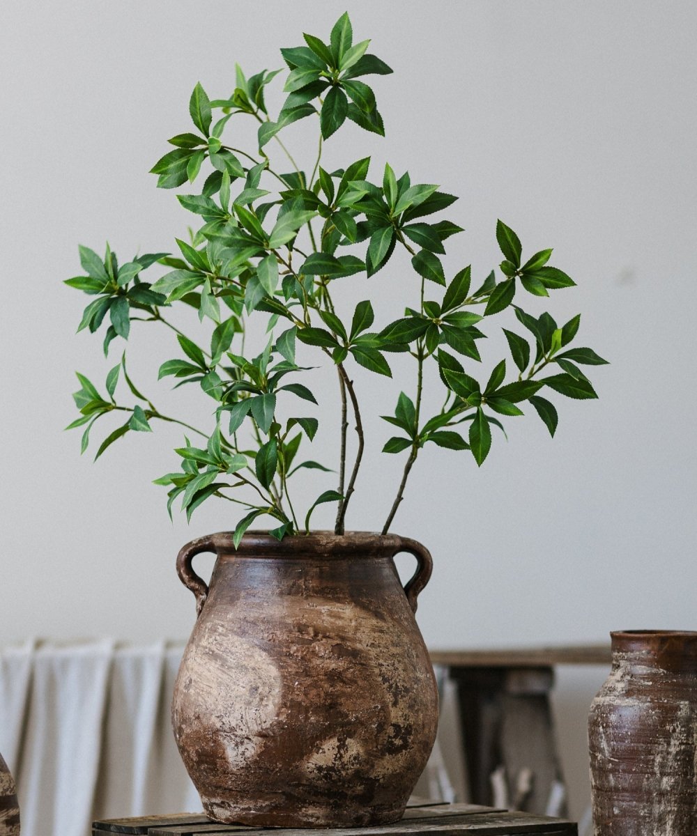Restoration Brown Clay Pot - Cheeky Garden
