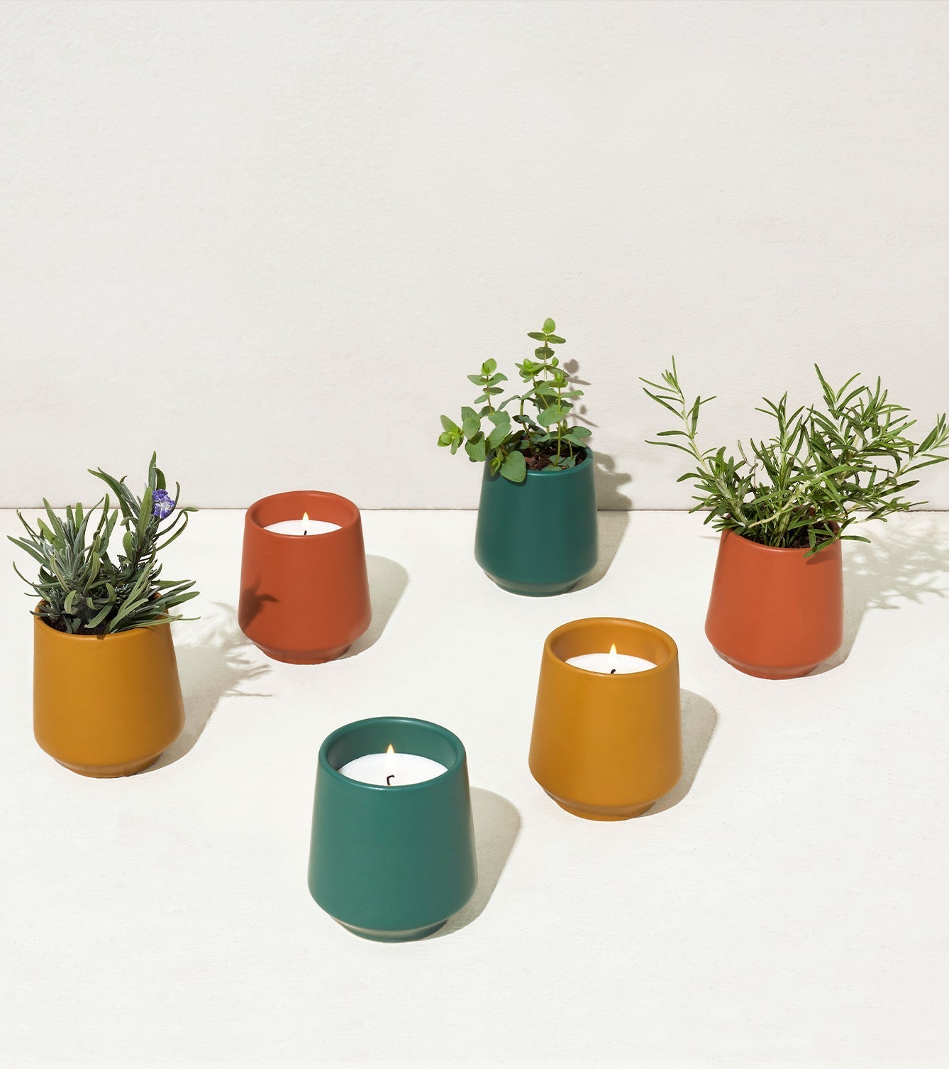 Rooted Candles - Cheeky Garden