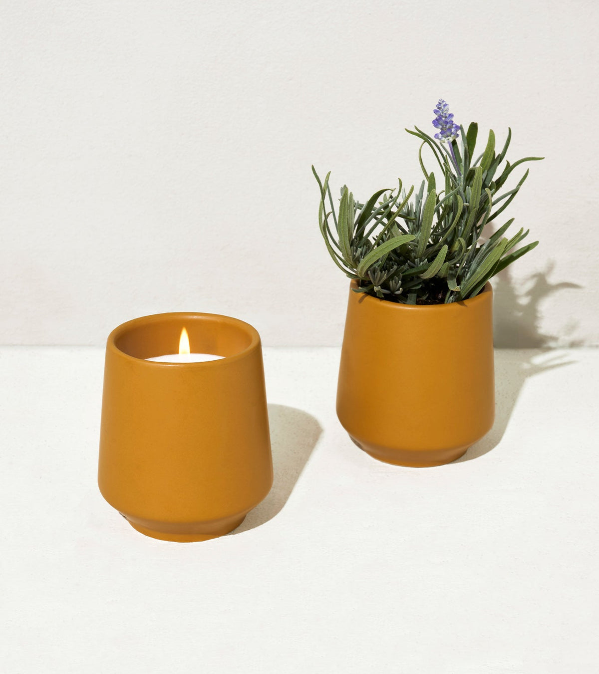 Rooted Candles - Cheeky Garden