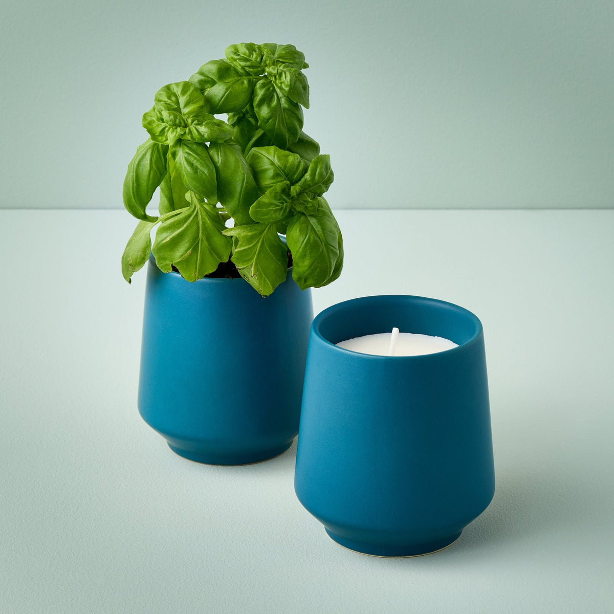 Rooted Candles - Cheeky Garden