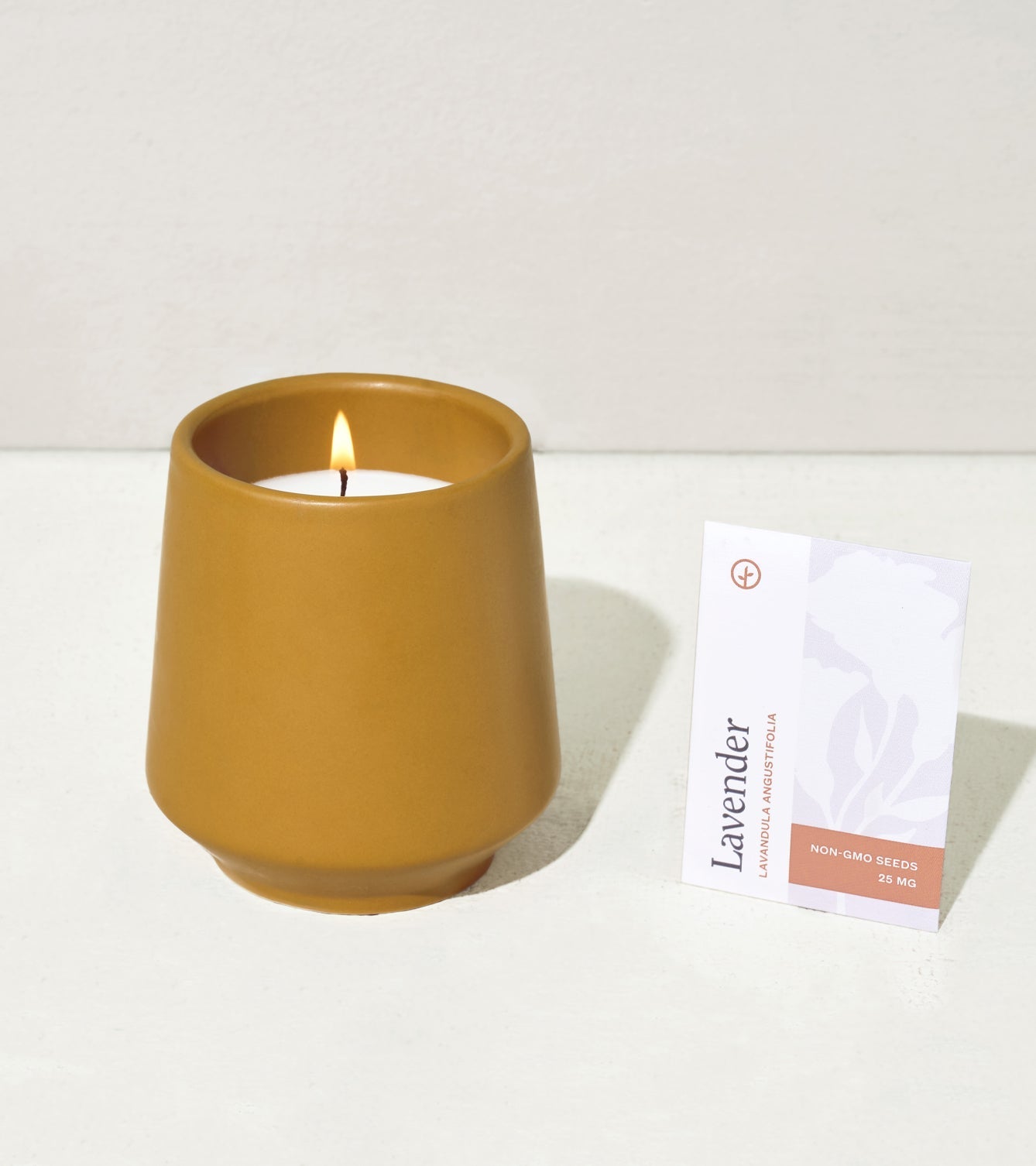 Rooted Candles - Cheeky Garden