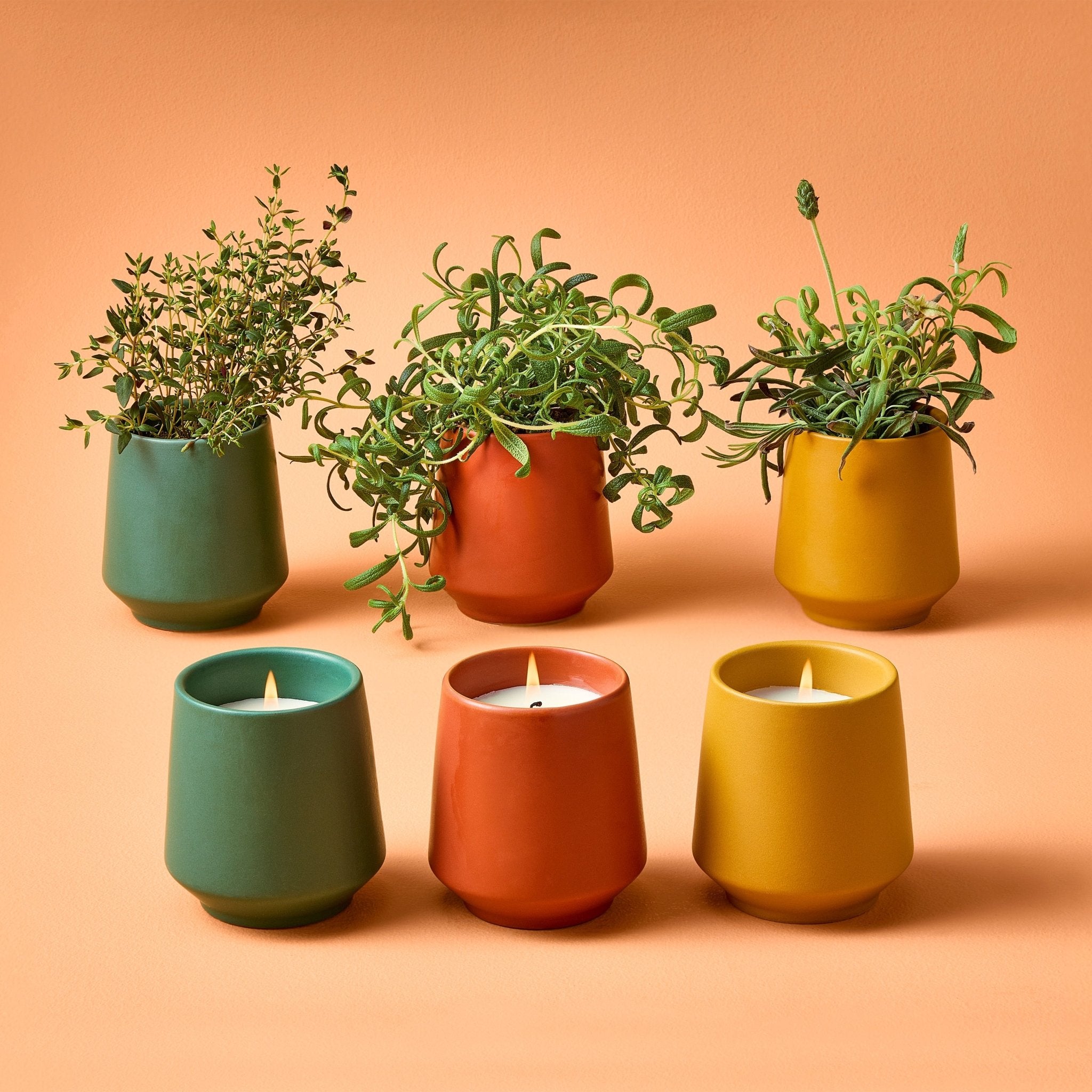 Rooted Candles - Cheeky Garden