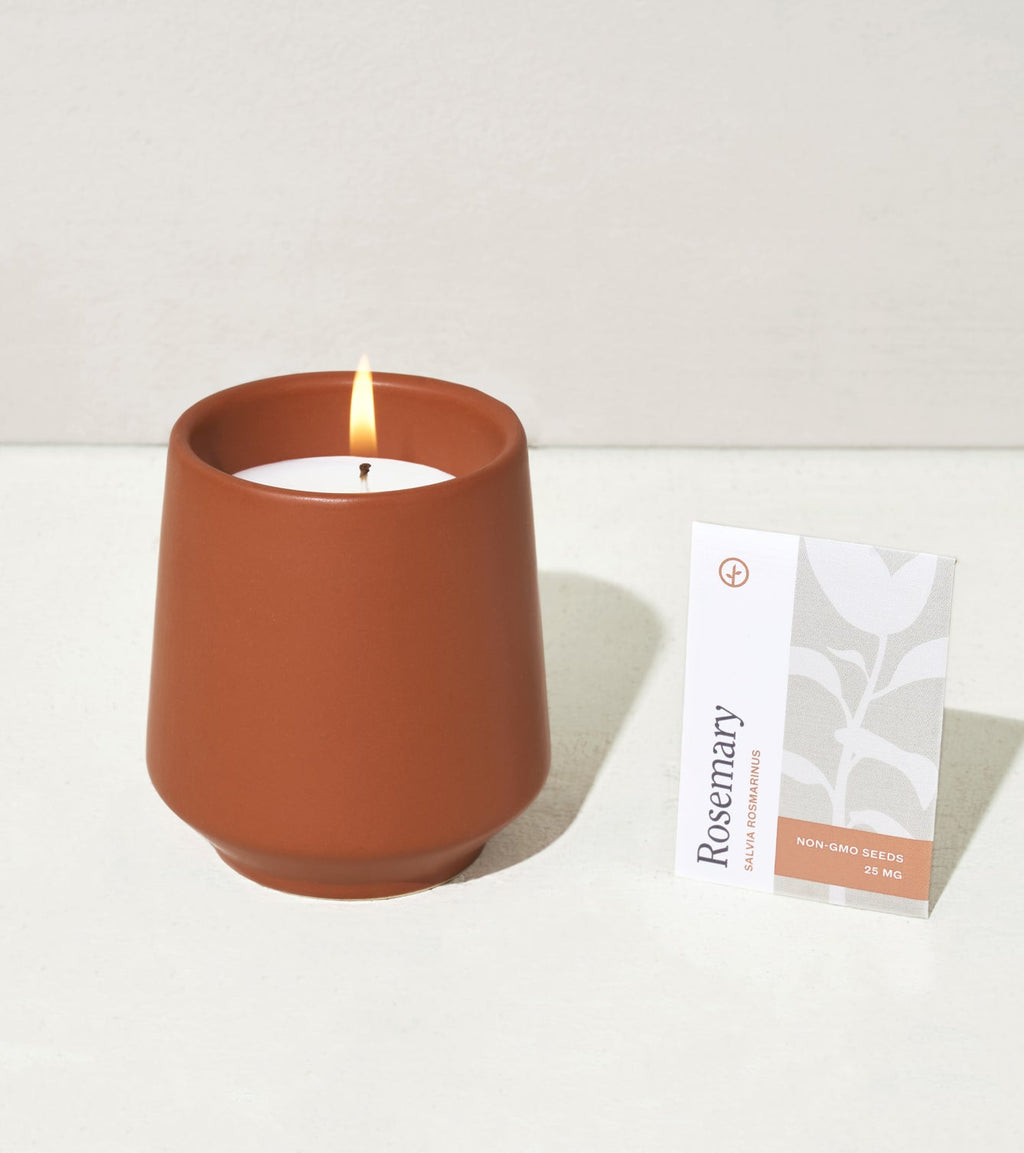 Rooted Candles - Cheeky Garden