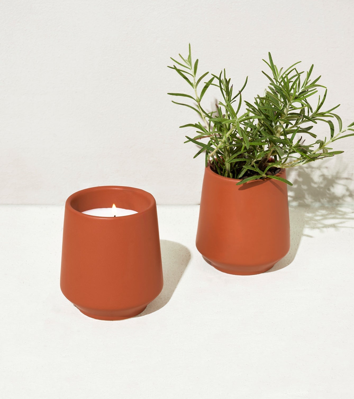 Rooted Candles - Cheeky Garden