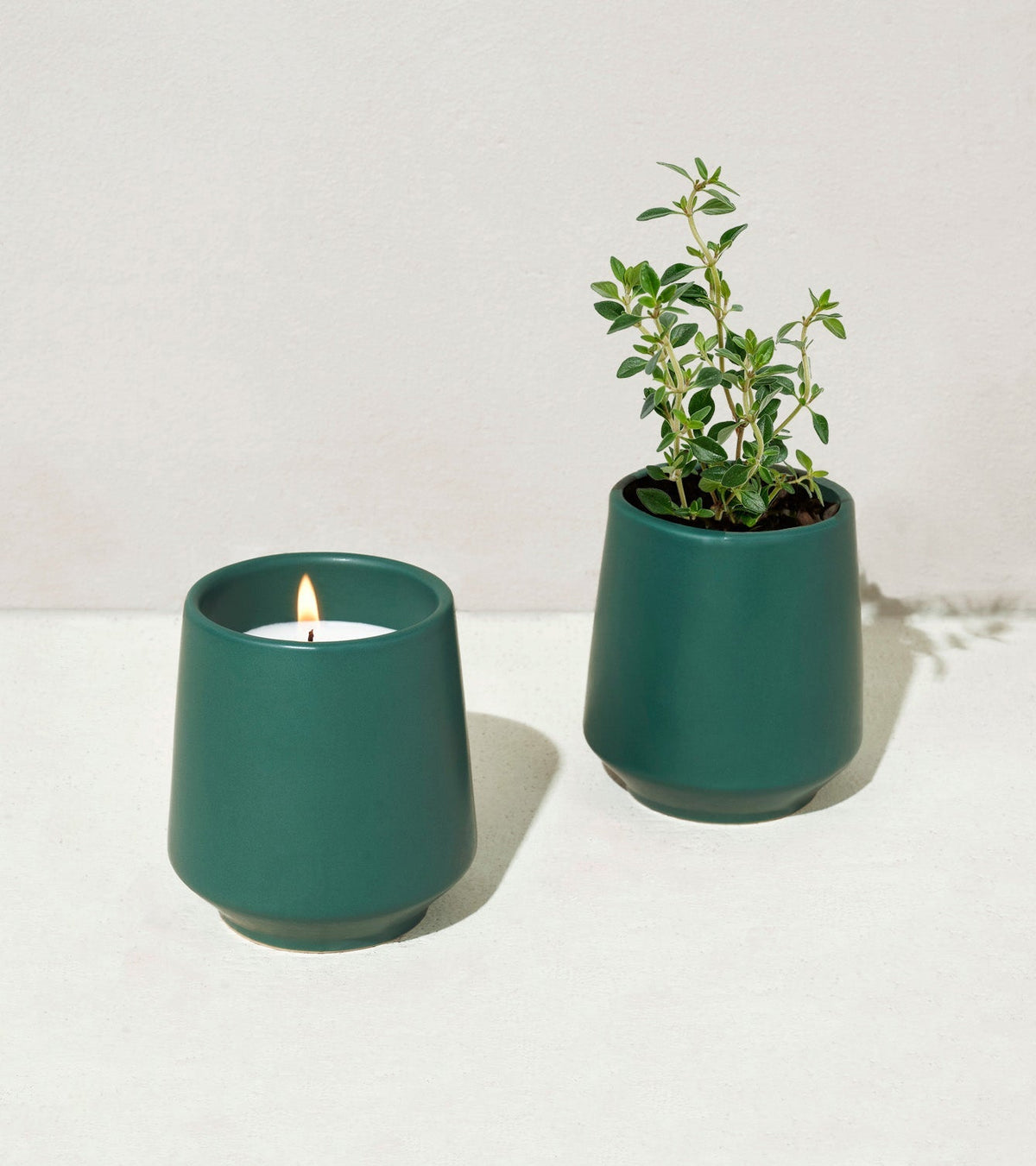 Rooted Candles - Cheeky Garden