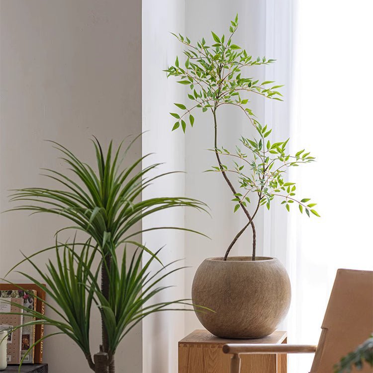 Round Magnesium Clay Planter - Cheeky Garden
