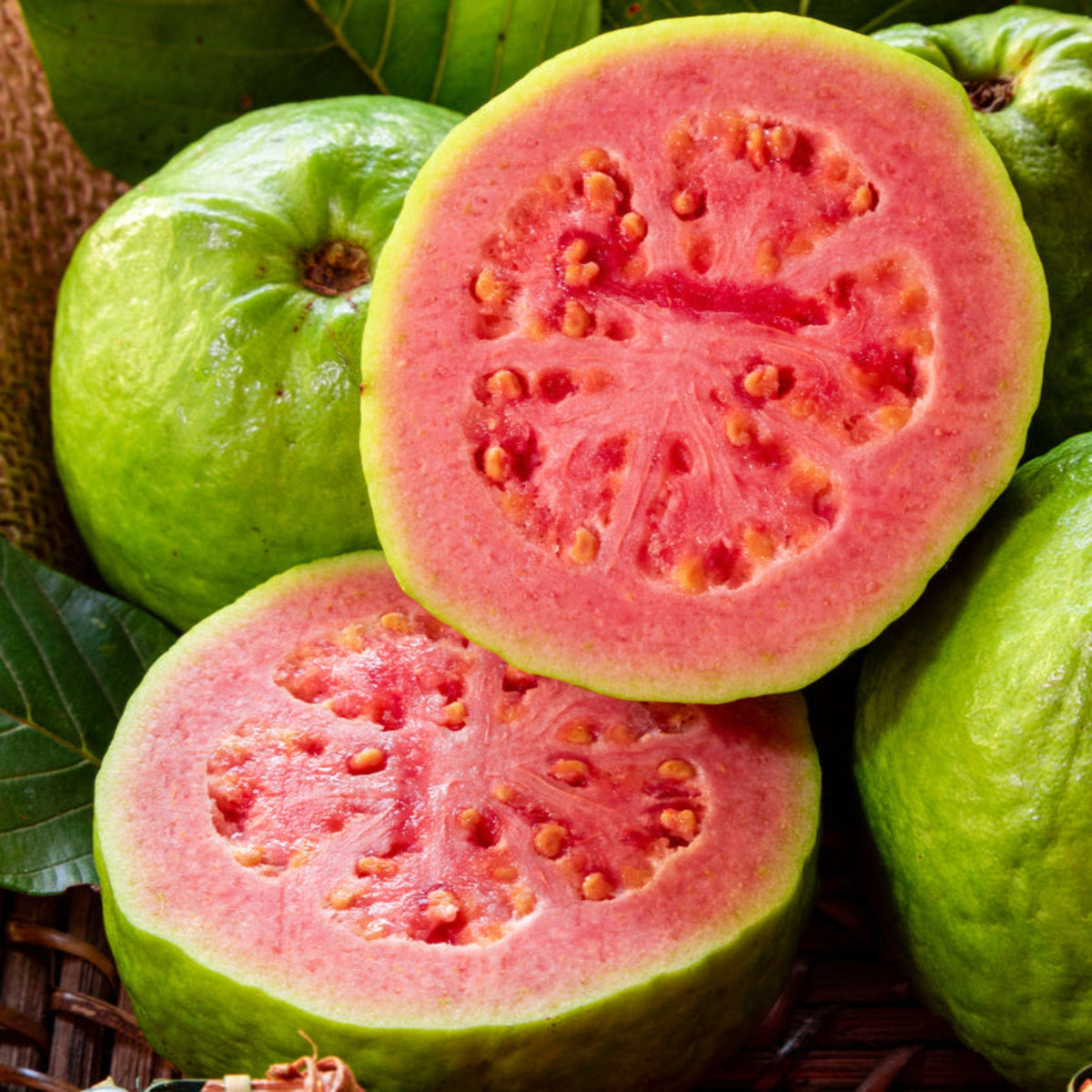 Ruby Supreme Guava Tree - Cheeky Garden