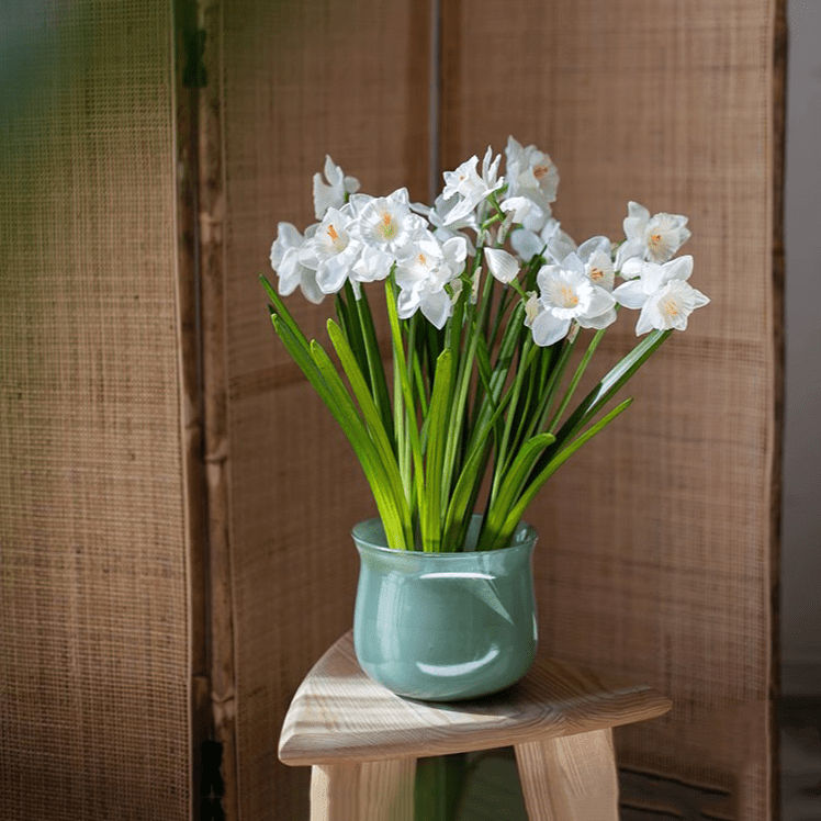 Ruhai Low Glass Vase - Cheeky Garden