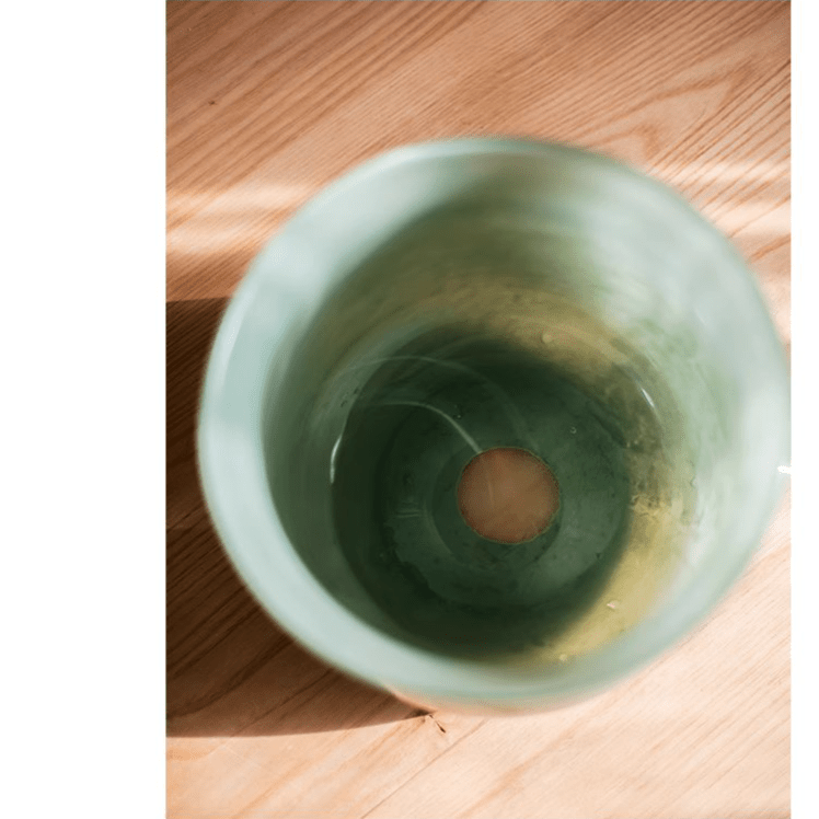 Ruhai Low Glass Vase - Cheeky Garden
