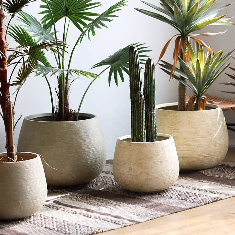 Rustic Globe Cement Planter - Cheeky Garden