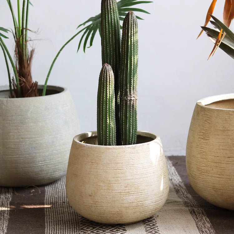 Rustic Globe Cement Planter - Cheeky Garden