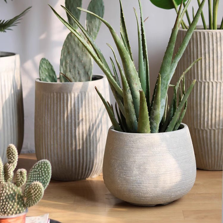 Rustic Globe Cement Planter - Cheeky Garden