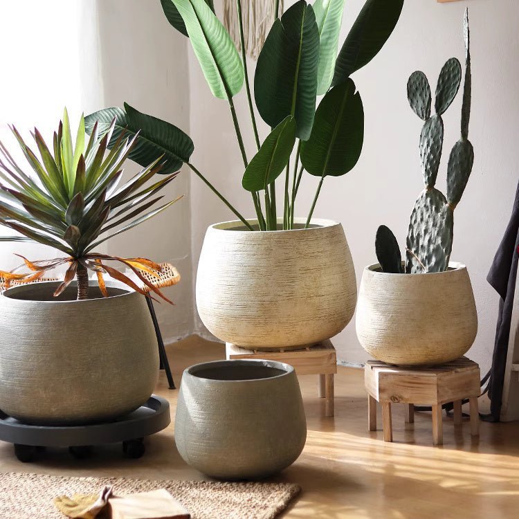 Rustic Globe Cement Planter - Cheeky Garden