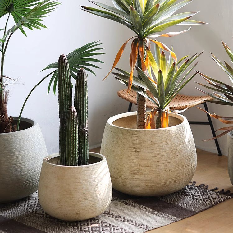 Rustic Globe Cement Planter - Cheeky Garden