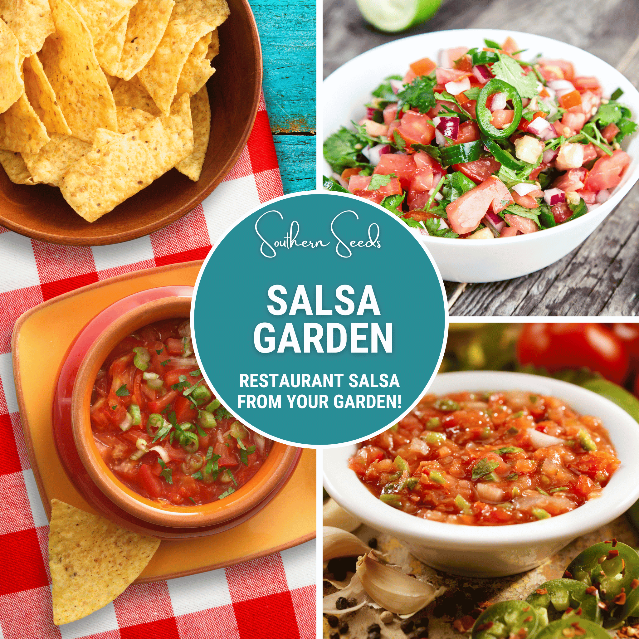 Salsa Seed Collection – Restaurant Style – 10 Amazing Varieties - Cheeky Garden