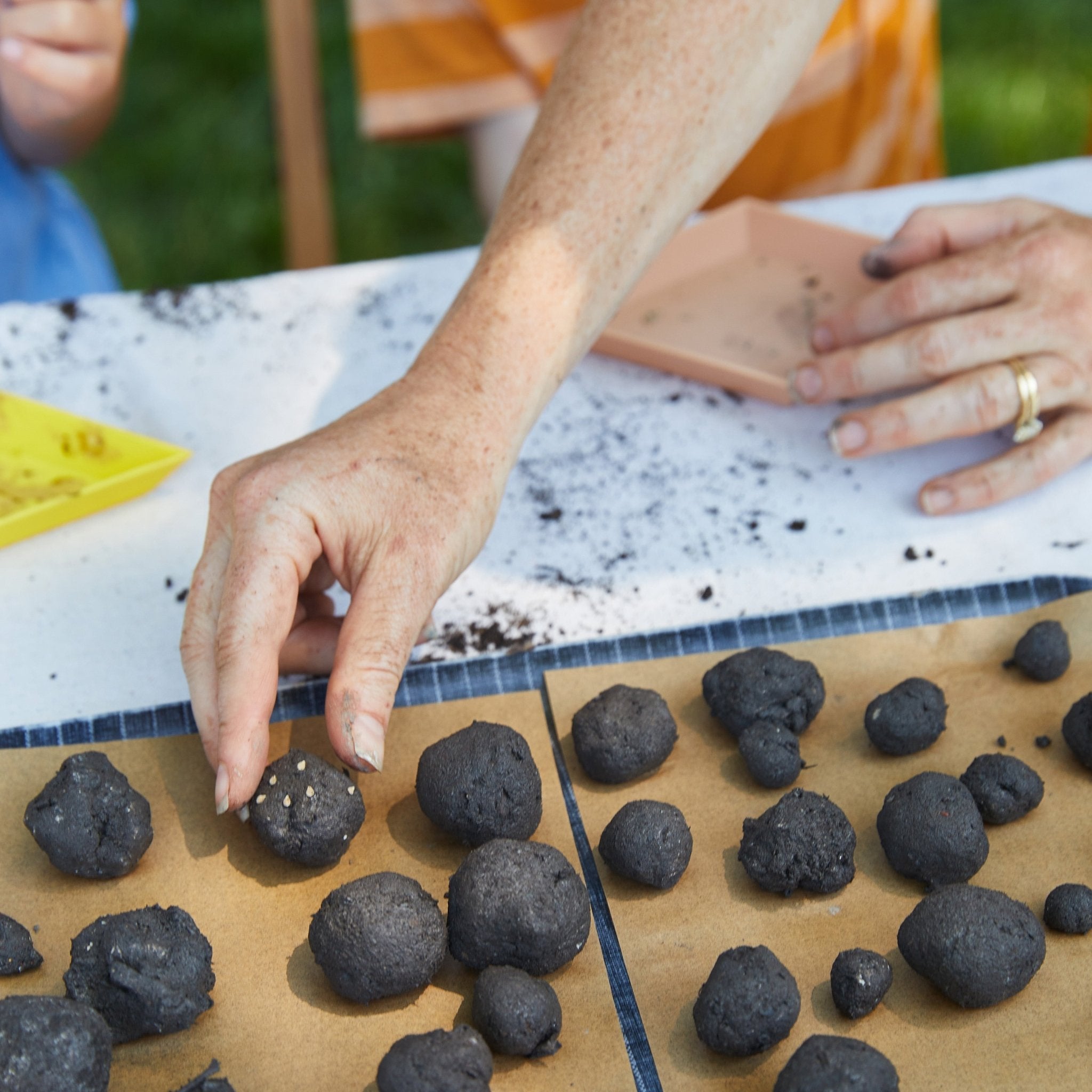 Seed Ball Kits - Cheeky Garden