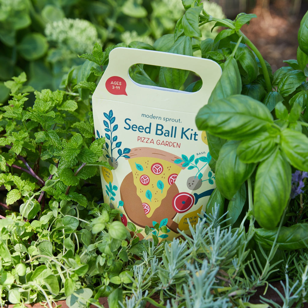 Seed Ball Kits - Cheeky Garden