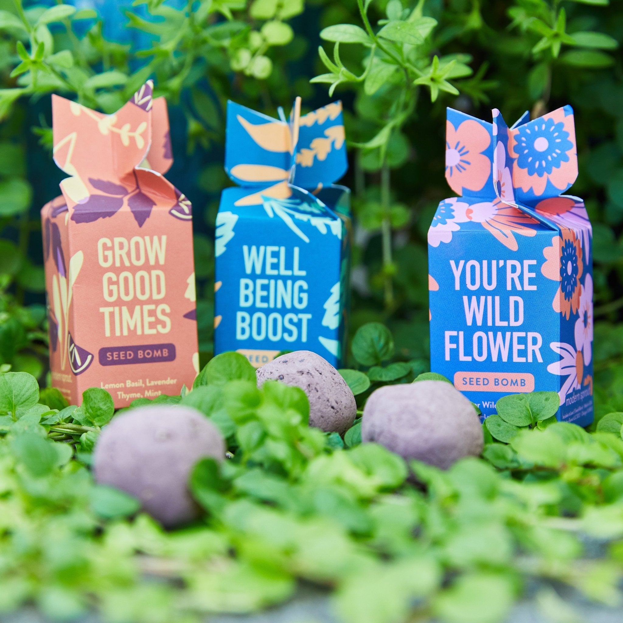 Seed Bomb - Cheeky Garden
