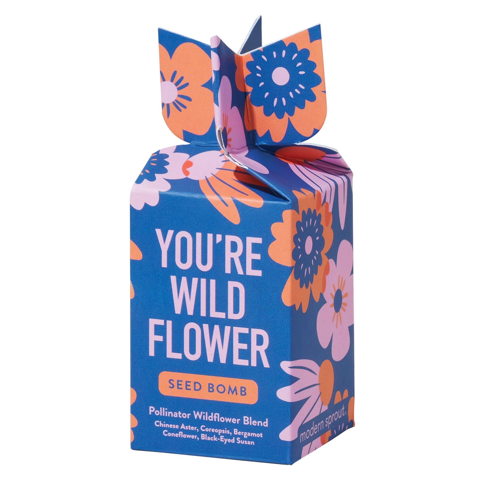 Seed Bomb - Cheeky Garden