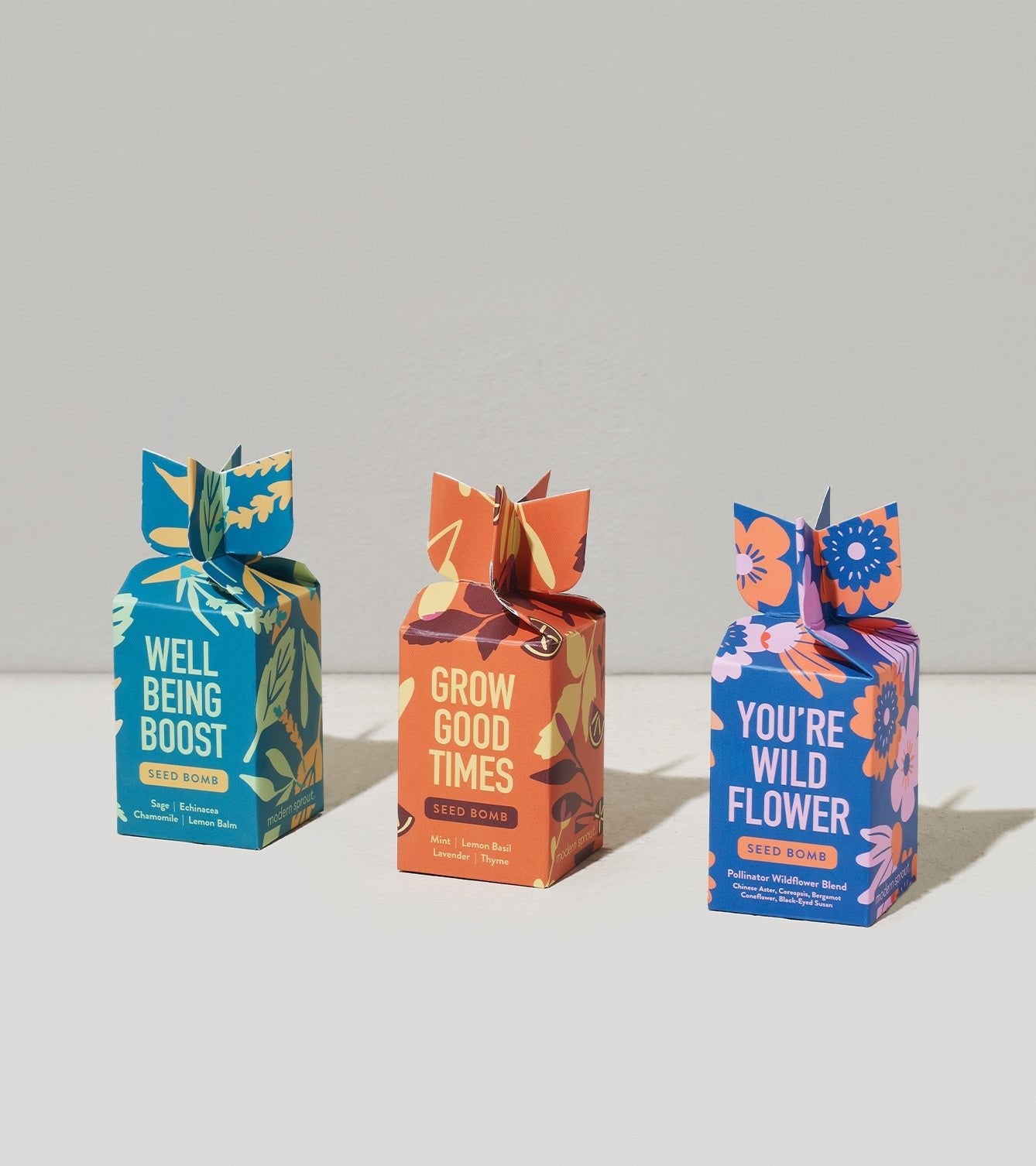 Seed Bomb - Cheeky Garden