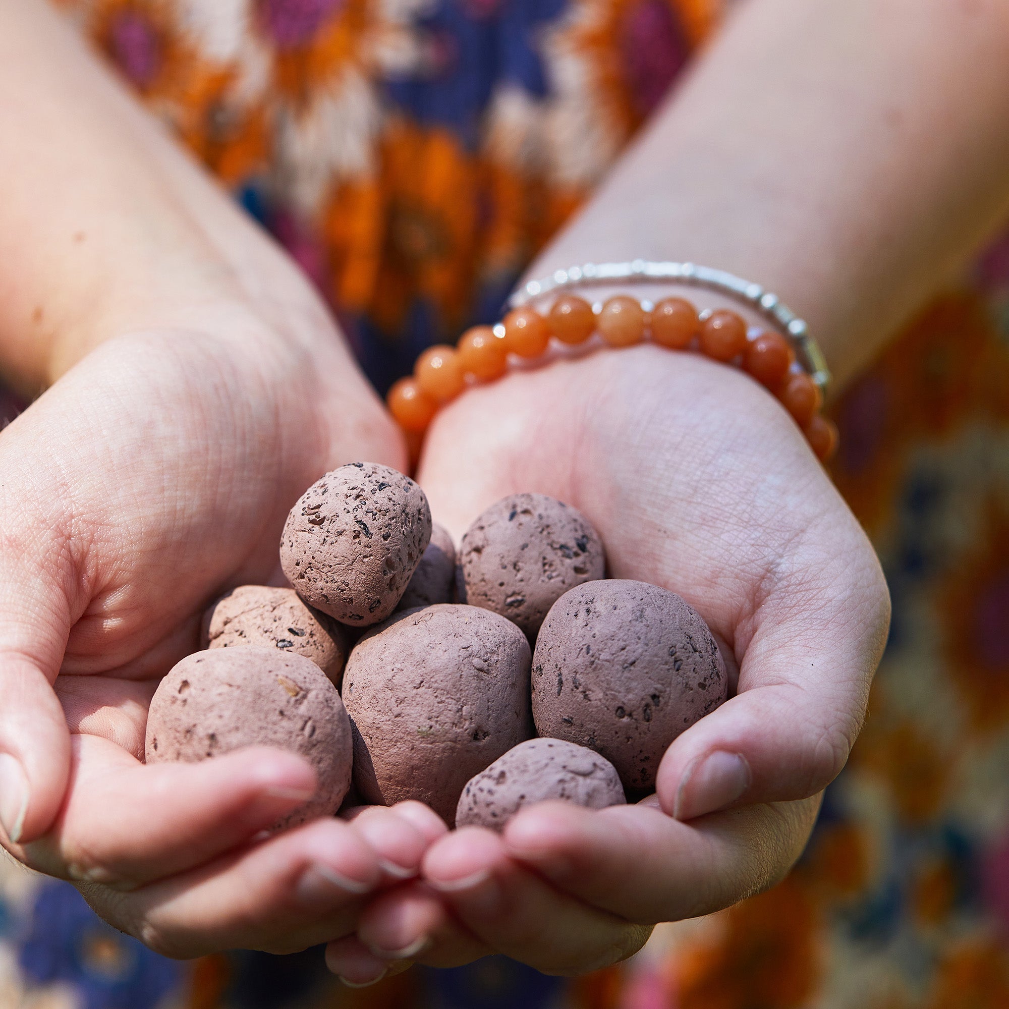 Seed Bombs - Cheeky Garden
