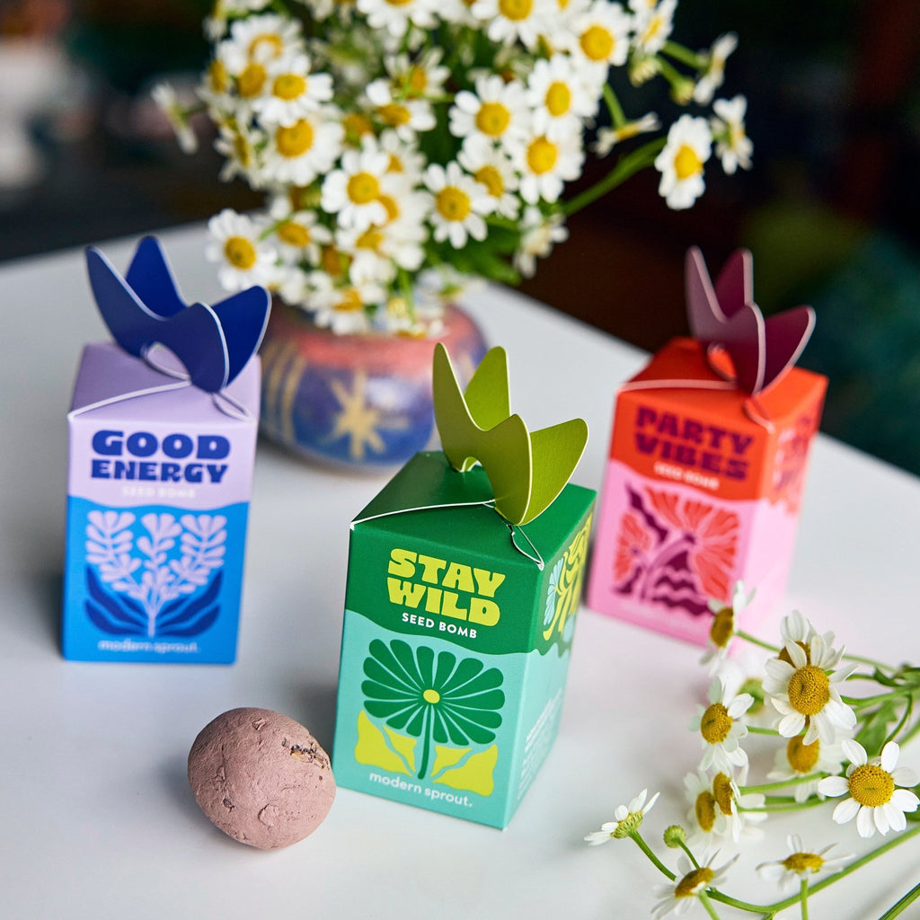 Seed Bombs - Cheeky Garden