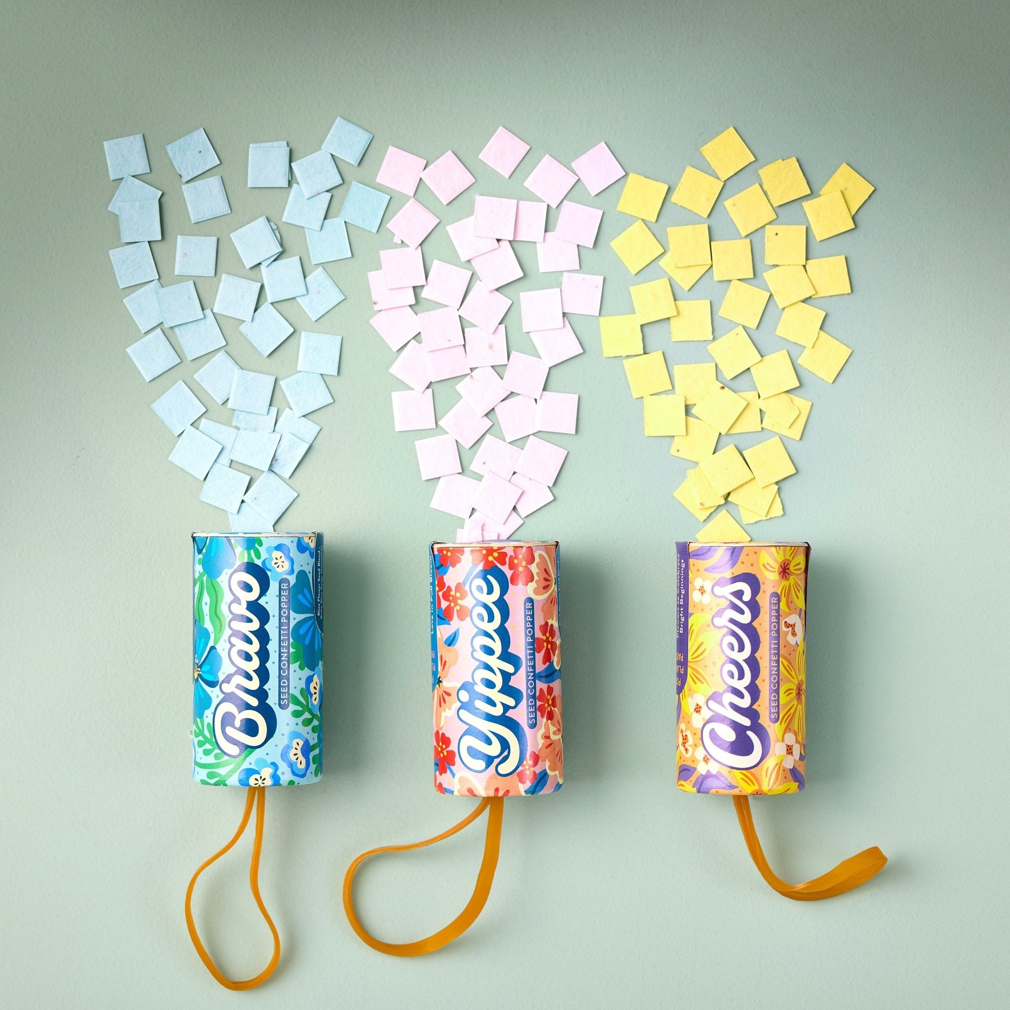 Seed Confetti Popper - Cheeky Garden