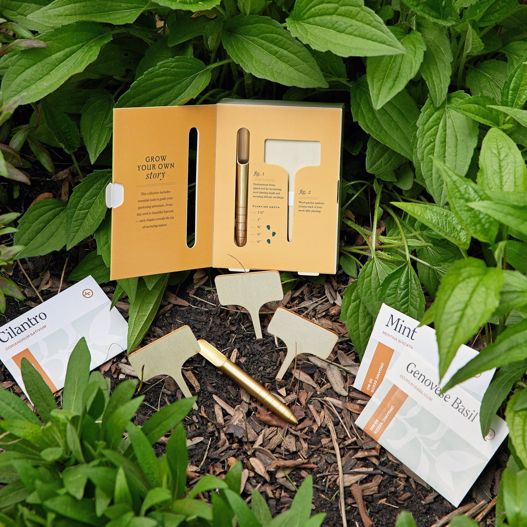 Seed Library - Cheeky Garden