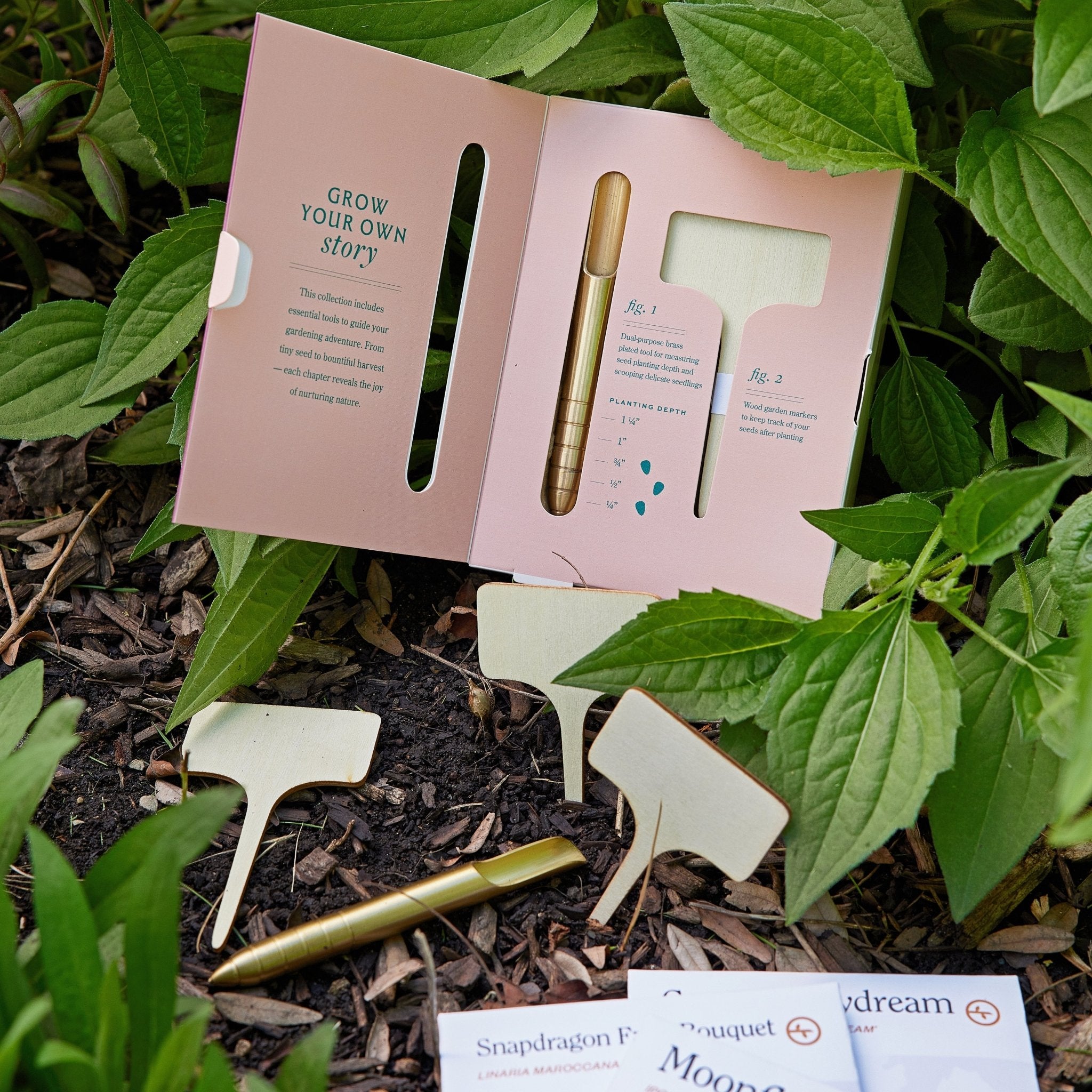 Seed Library - Cheeky Garden