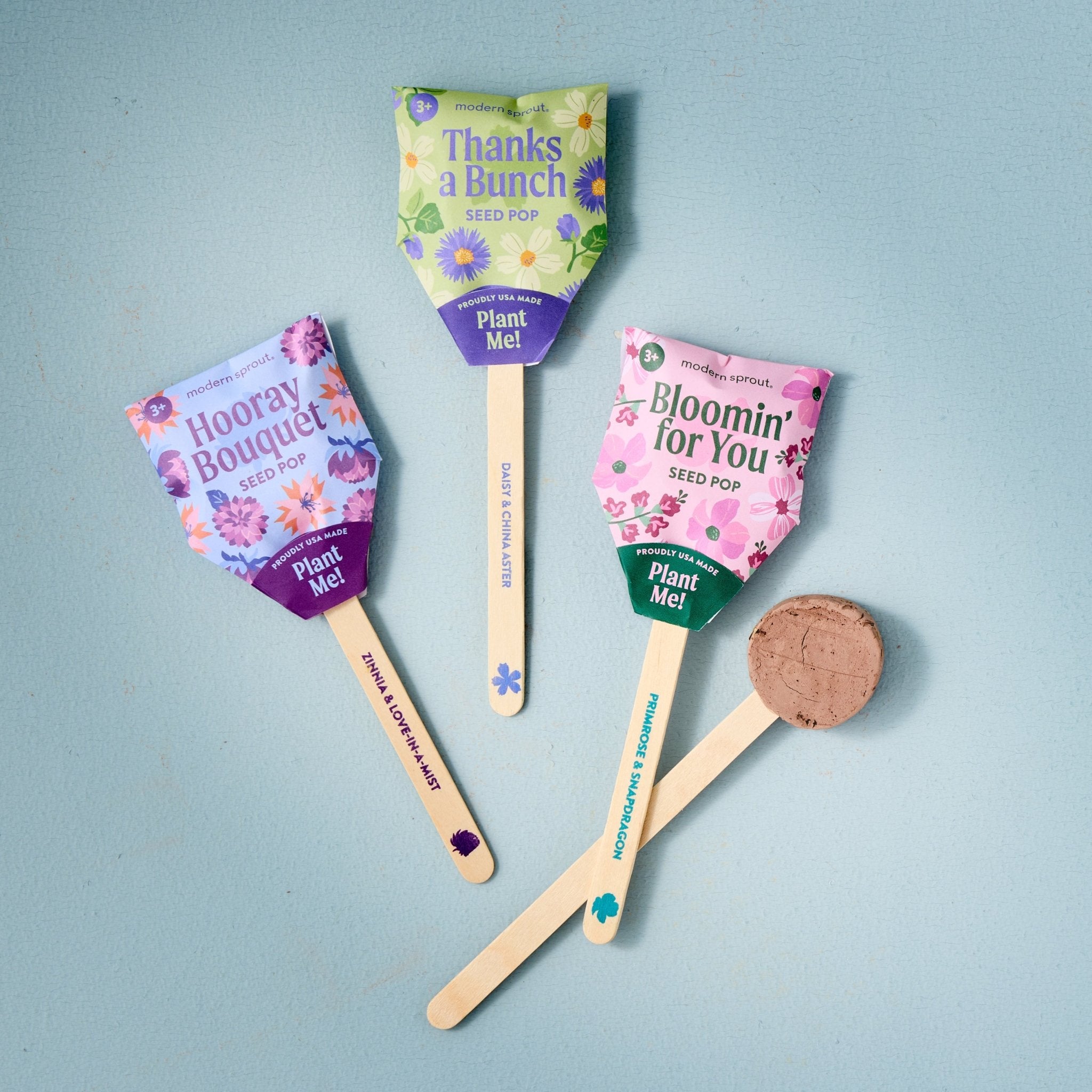 Seed Pops - Flowers - Cheeky Garden