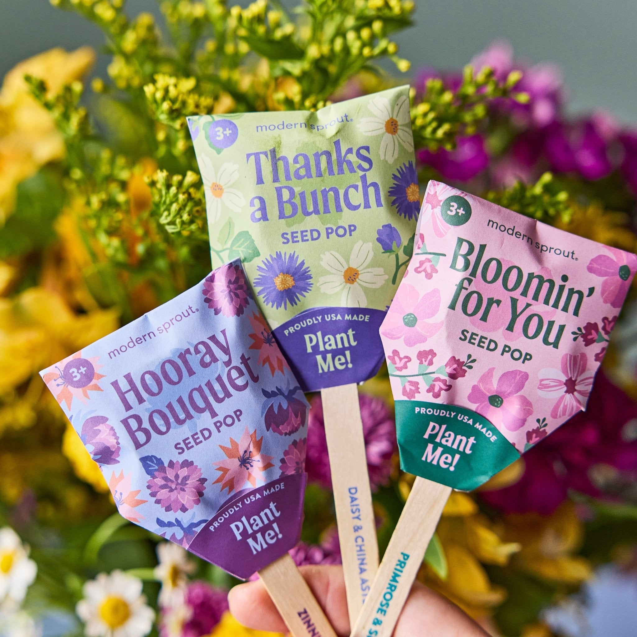 Seed Pops - Flowers - Cheeky Garden