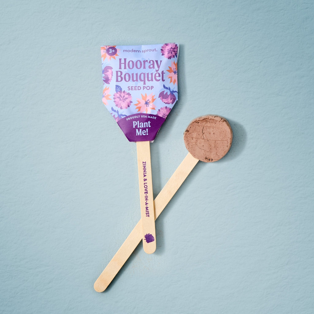 Seed Pops - Flowers - Cheeky Garden