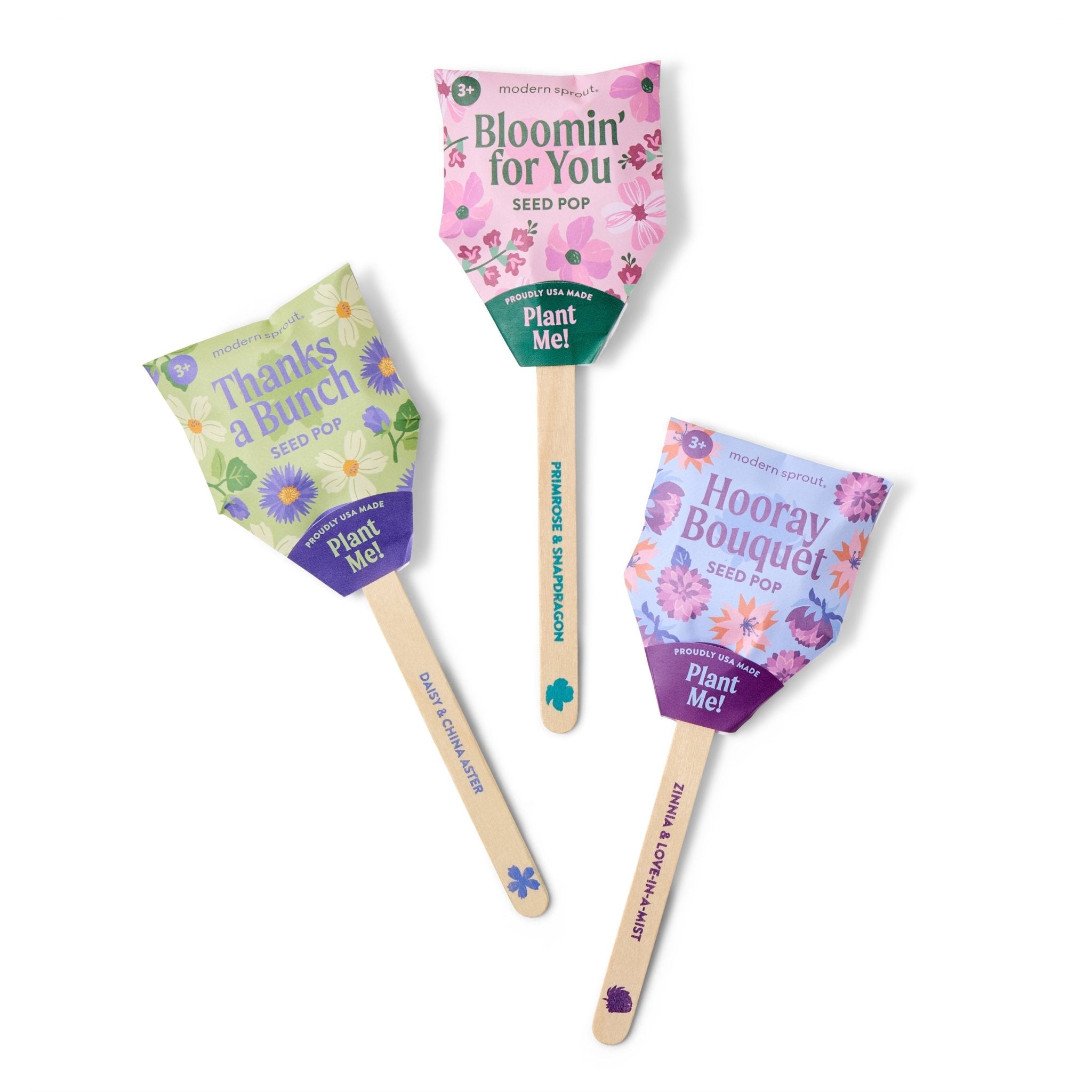 Seed Pops - Flowers - Cheeky Garden