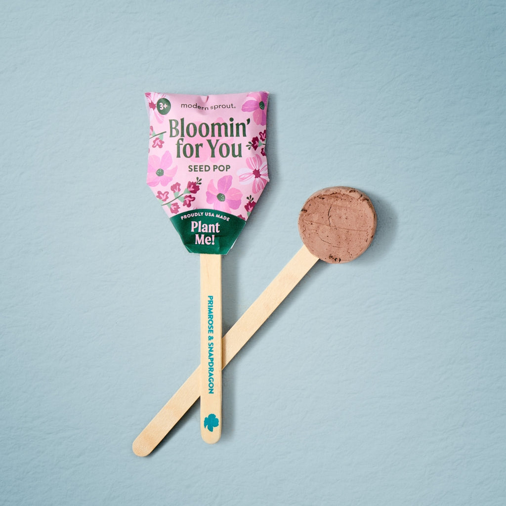 Seed Pops - Flowers - Cheeky Garden