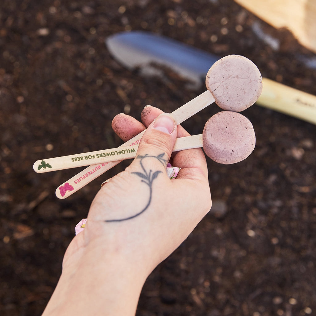 Seed Pops - Flowers - Cheeky Garden