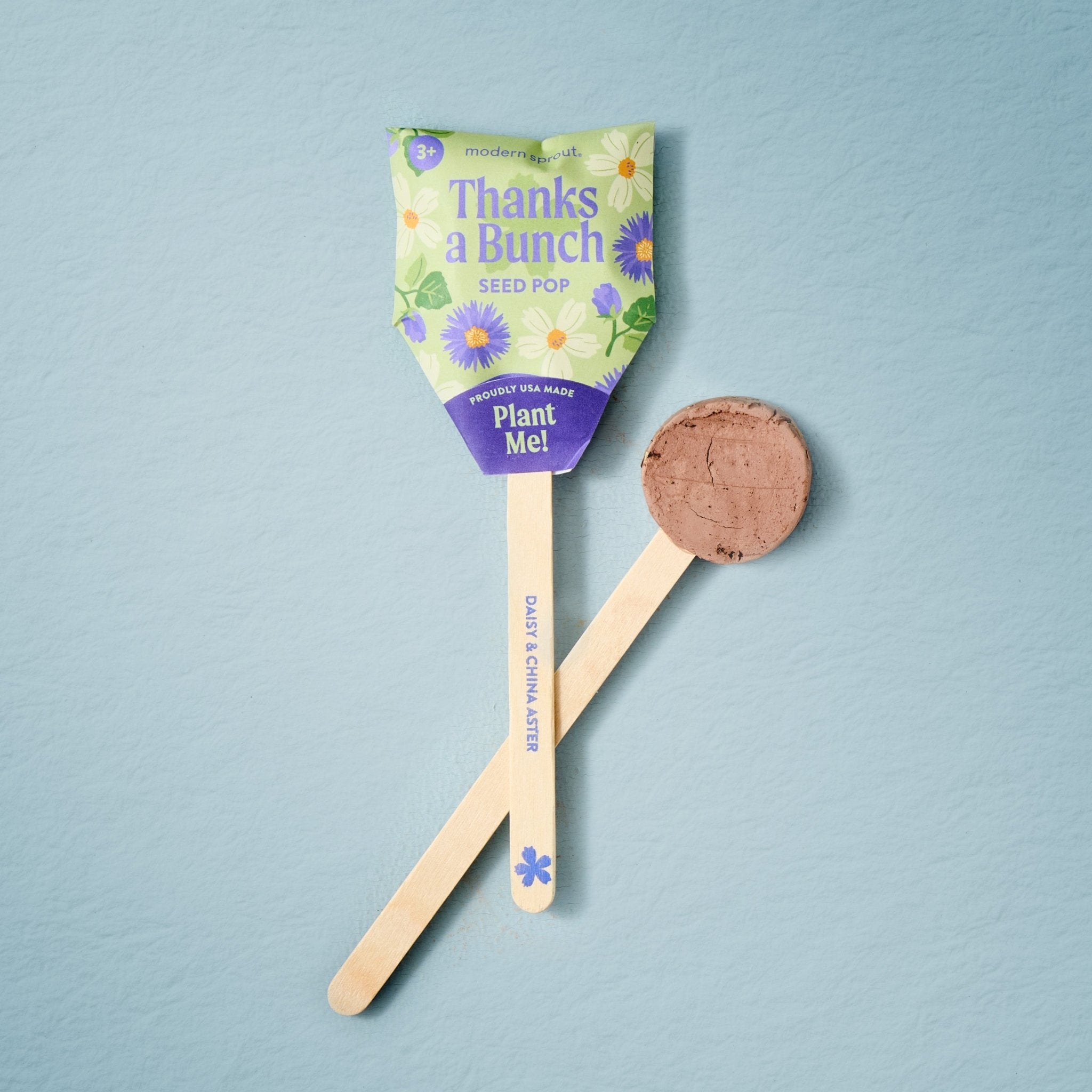 Seed Pops - Flowers - Cheeky Garden
