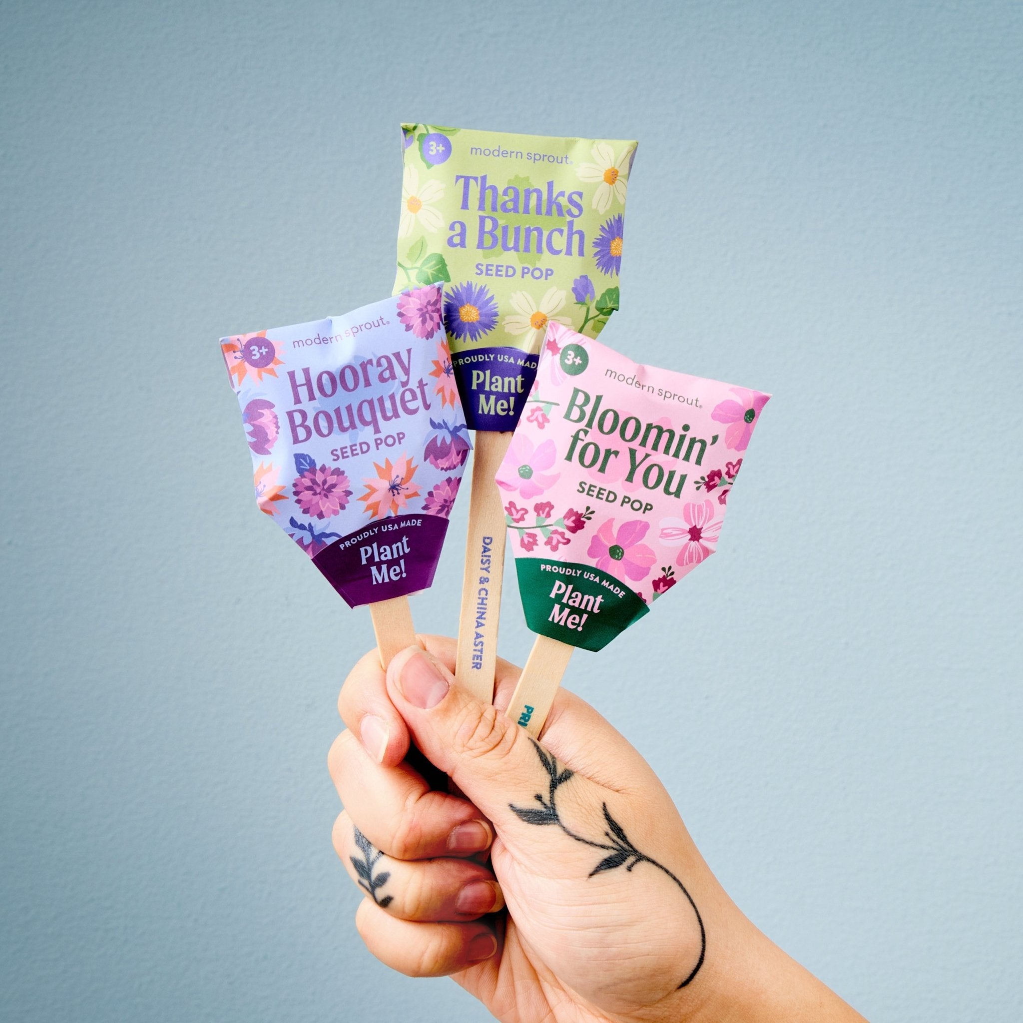 Seed Pops - Flowers - Cheeky Garden