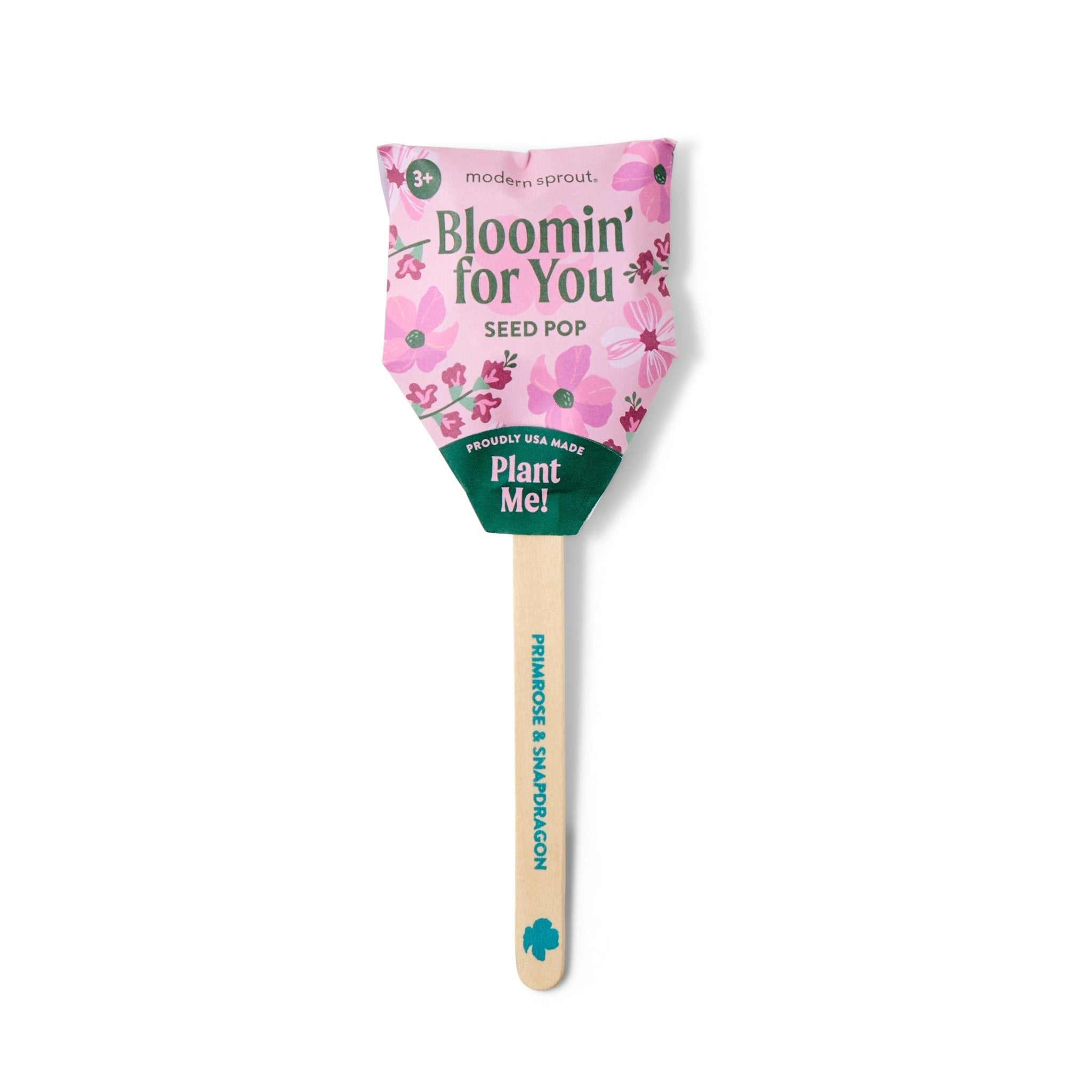 Seed Pops - Flowers - Cheeky Garden