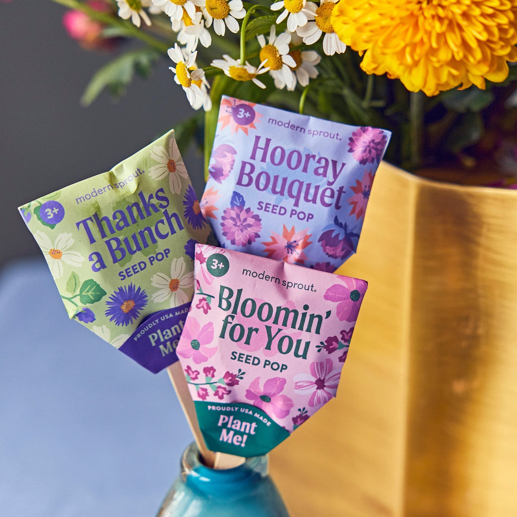 Seed Pops - Flowers - Cheeky Garden