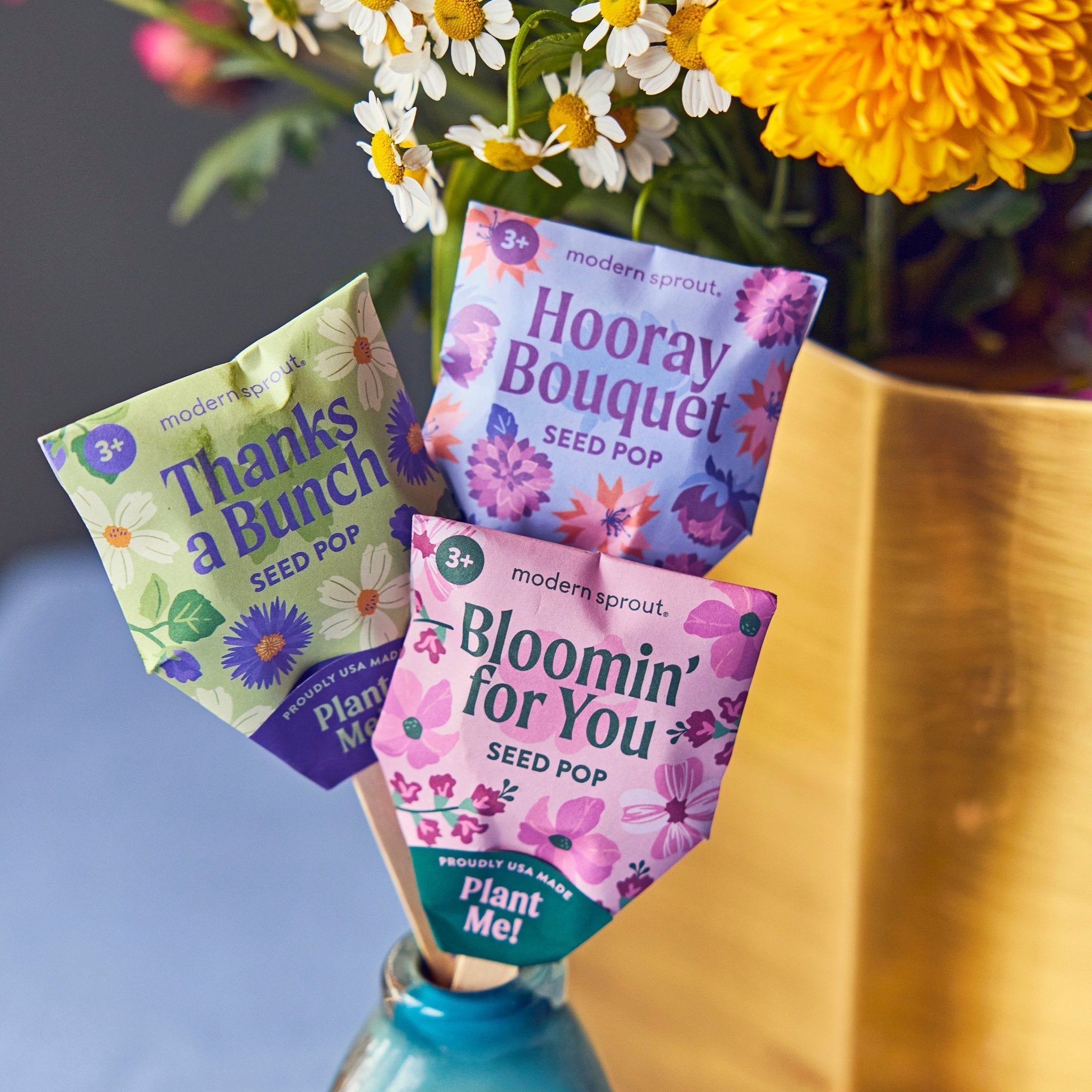 Seed Pops - Flowers - Cheeky Garden