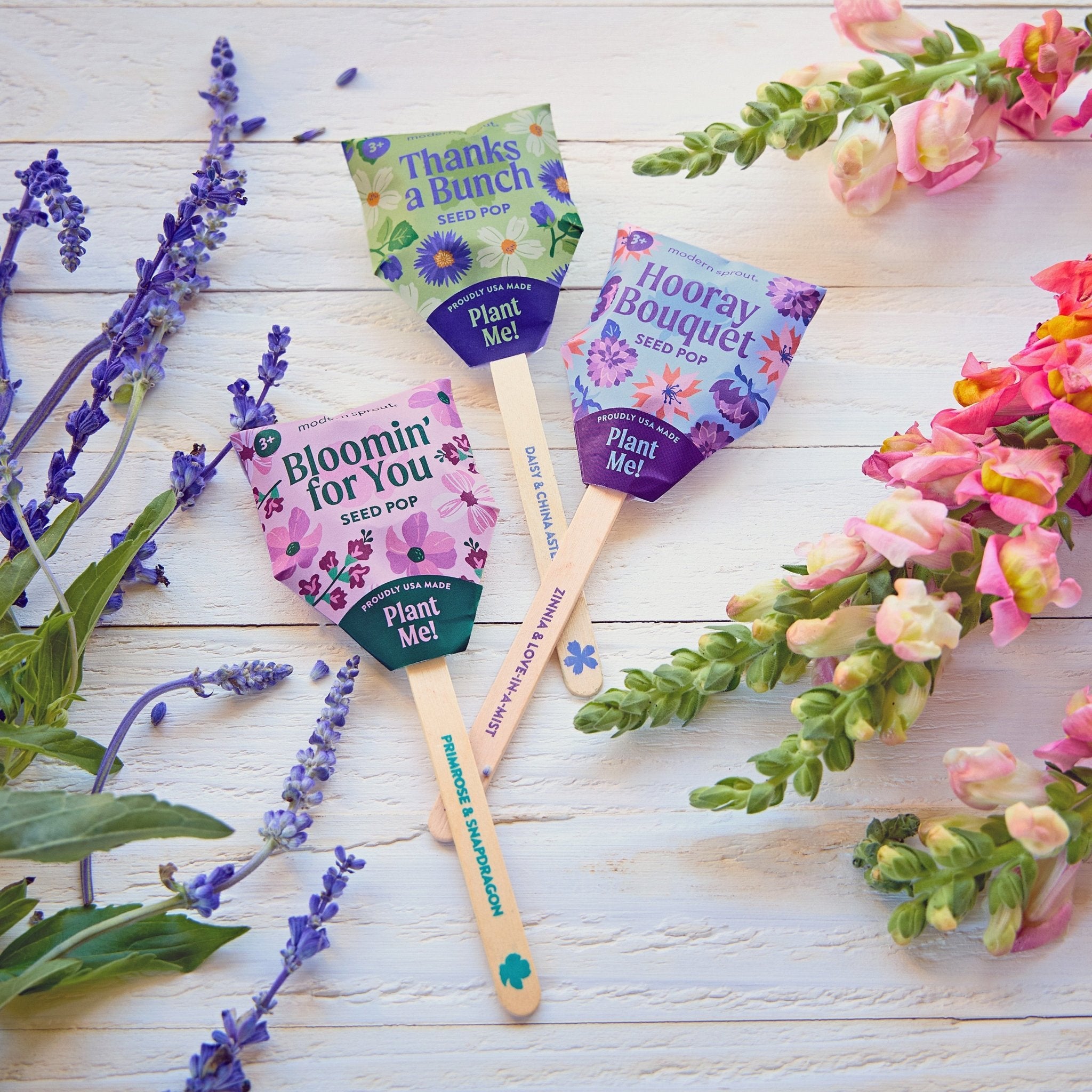 Seed Pops - Flowers - Cheeky Garden