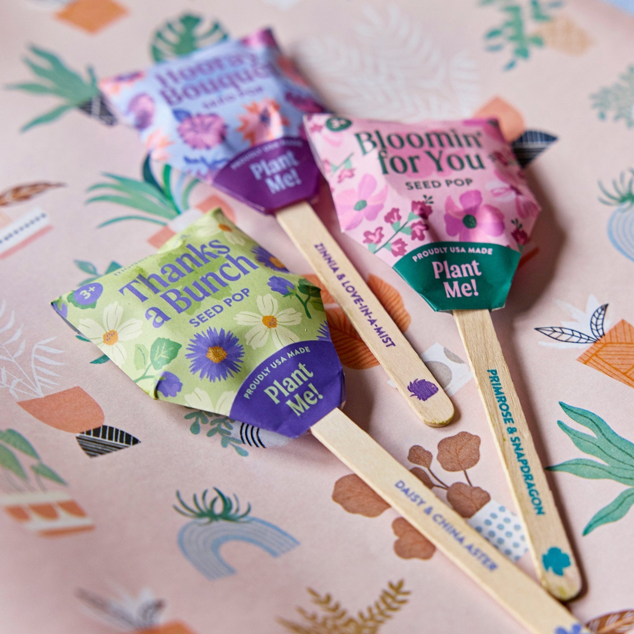 Seed Pops - Flowers - Cheeky Garden