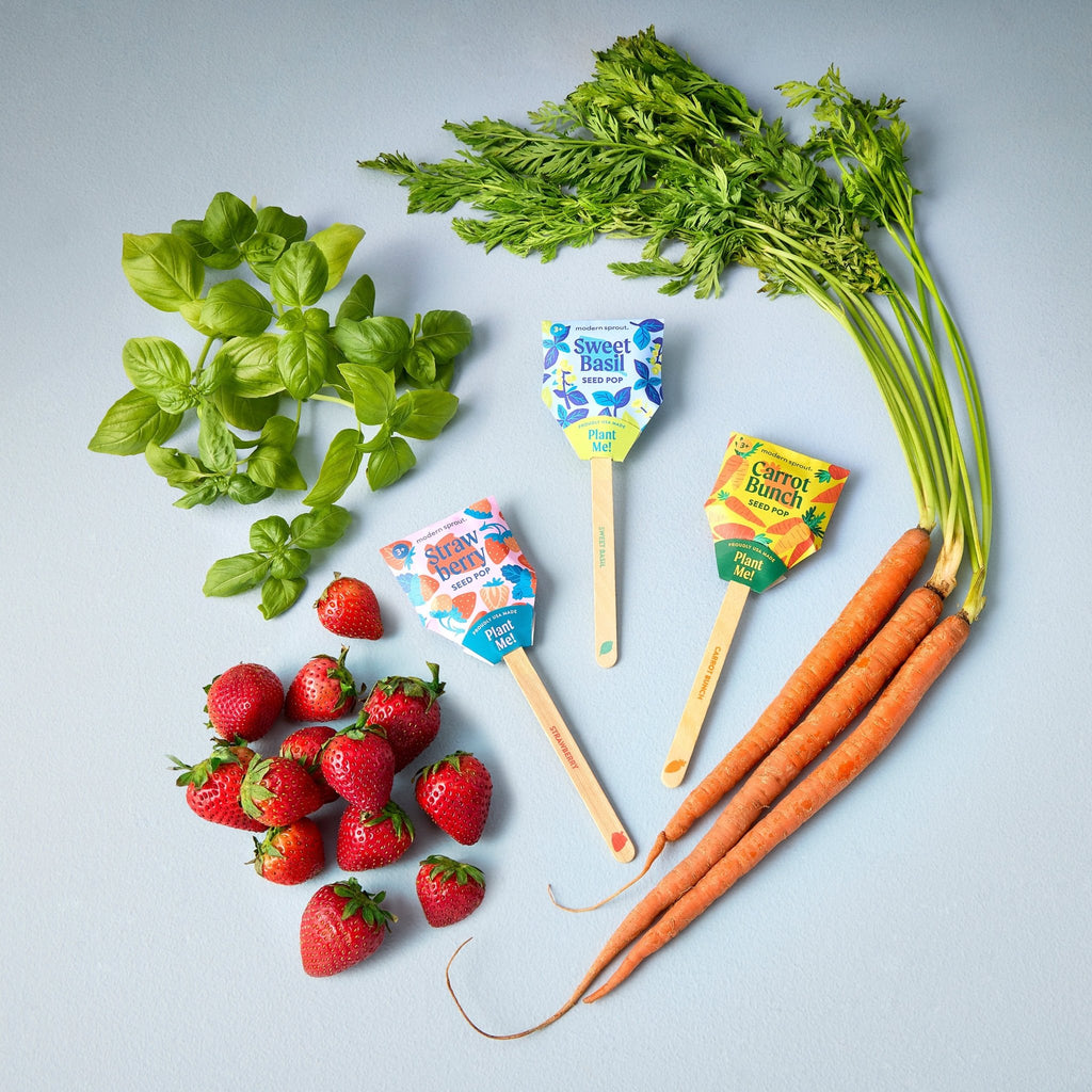Seed Pops - Garden - Cheeky Garden