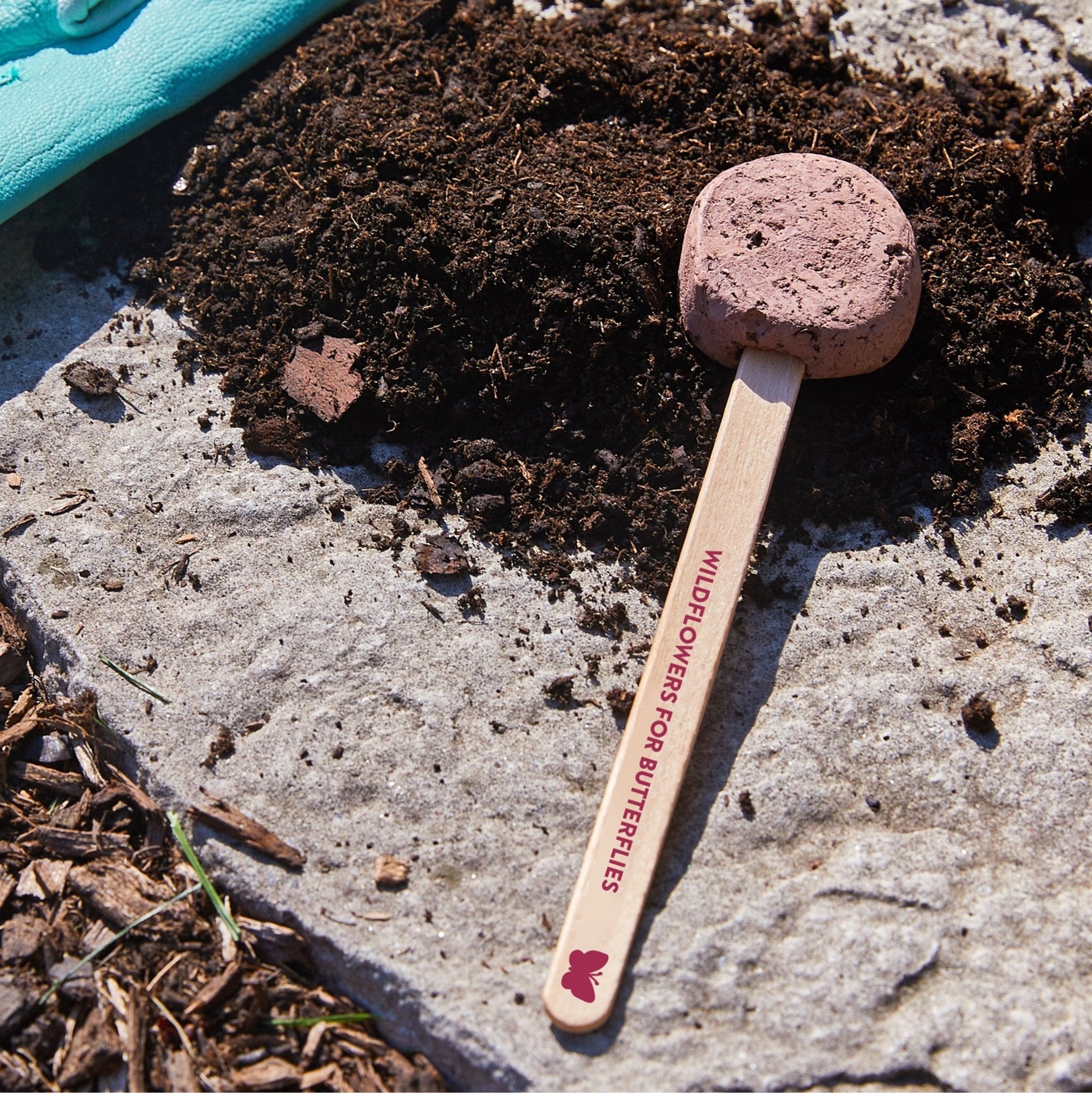 Seed Pops - Garden - Cheeky Garden