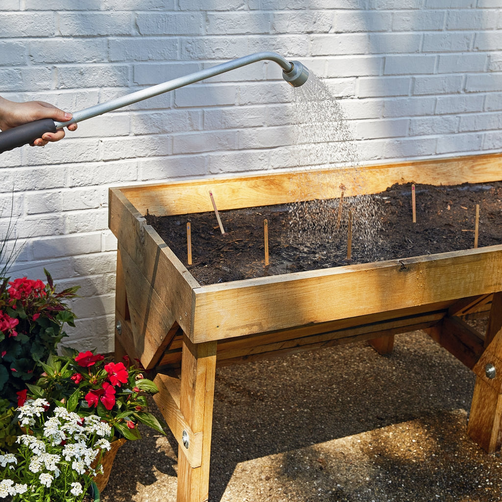 Seed Pops - Garden - Cheeky Garden