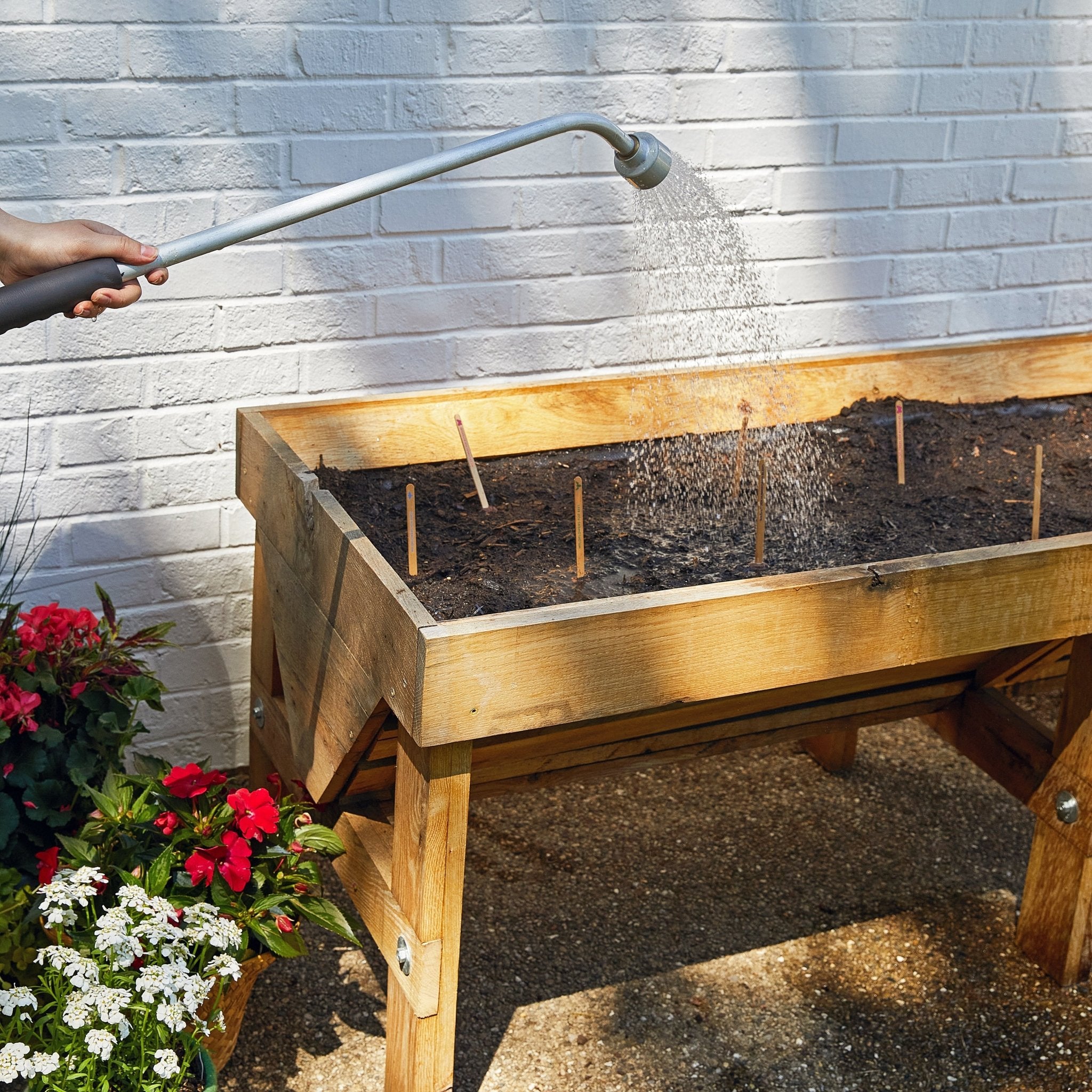 Seed Pops - Garden - Cheeky Garden